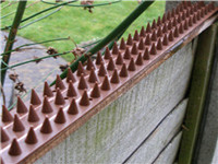 anti-climb-spikes_2_1