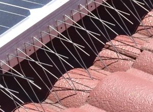Stainless Steel Gutter Spikes
