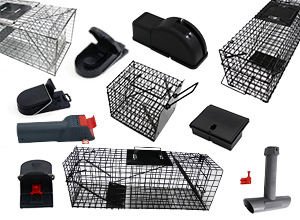 mouse trap