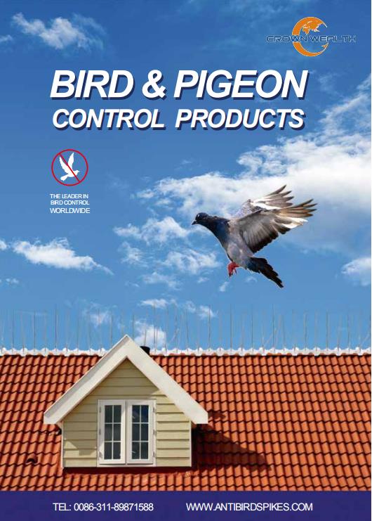 Anti Bird Spikes & Bird Control Product Catalog Request